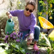 Gardeners Urged to Do This One Simple Task Now for a Stunning Spring Display