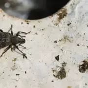 Gardening Expert Warns: This Common Habit Could Be Killing Your Plants