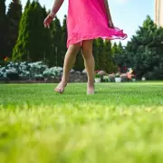 Gardening Hack: Free & Simple Trick to Make Your Plants Thrive