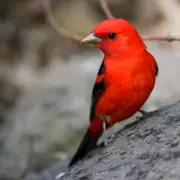 Gardening SOS: Brits Urged To Do This One Crucial Task Before July Or Risk Garden Catastrophe