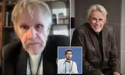 Gary Busey Pleads Guilty to Groping Charge at Convention: Shocking Details Inside
