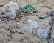 Global Plastic Pollution Treaty Talks Hit Deadlock as Deadline Looms