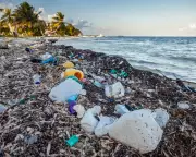 Global Plastics Deal Collapses: How Petrostates Derailed Environmental Progress