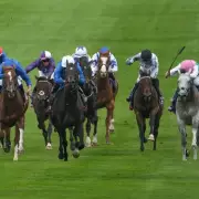 Godolphin Loses Landmark Court Battle Over Horse's Laminitis Death | Racing Industry Stunned