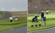 Golfers Left Stunned as Seagull Snatches Wallet Mid-Game at Pebble Beach