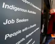 Government IT System Wrongfully Cancels Hundreds of Jobseeker Payments, Watchdog Reveals