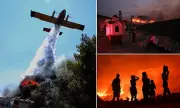 Greek Wildfire Rages On: Firefighters Battle Blaze as Strong Winds Threaten Wider Devastation