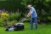 Heatwave Survival Guide: How to Keep Your Lawn Lush Without Wasting Water