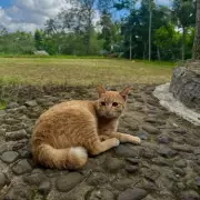 Holiday Horror: I Was Left Seriously Ill in Turkey Without Medical Help