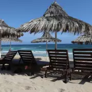 Holiday Horror: Tourist Finds Python in Toilet at Spanish Resort