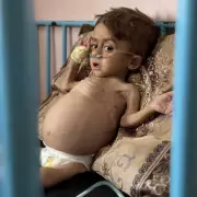 Holocaust Survivors Condemn Israel's Gaza Offensive in Powerful Open Letter