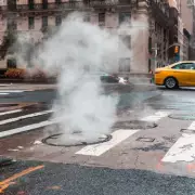 Horrific Death: Man Succumbs to World's Most Painful Condition After Suspected Bat Scratch