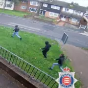 Horrifying Moment Dog Walker is Chased by Terrifying Bull in UK Countryside