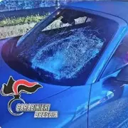 Horror as Man Gored by Bison During Yellowstone National Park Visit