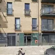 Horror in Westminster: Swarm of Rats Terrifies Residents in Shocking Infestation