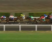 Horse Racing Industry Threatens Strike Over Government's Betting Tax Hike