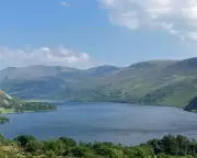 How One Family Farm Became a Haven for Wildlife in the UK