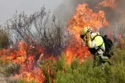 How to Tackle Dangerous Wildfires: Strategies to Prevent Escalation