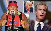 Hulk Hogan and Gavin Newsom Join Forces with Donald Trump in Surprising Alliance