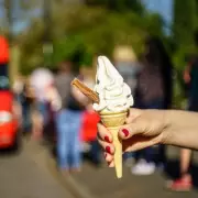 Ice Cream Van Horror: Woman's Shocking Discovery Inside
