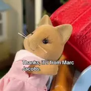 Iconic Toy Company Sues Over Viral Knock-Off – 'It's a Rip-Off!'