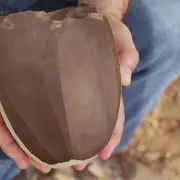 Incredible Discovery: 5,500-Year-Old Neolithic Tomb Unearthed on Scottish Island