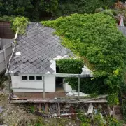Inside the £1.2m Three-Bed House Completely Covered in Ivy – A Hidden Gem or a Nightmare?