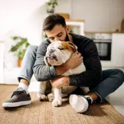 Is Your Dog Secretly Stressed? 7 Hidden Anxiety Signs Every UK Pet Owner Must Know