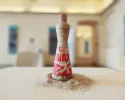 Italy Unveils Groundbreaking Museum of Plastic Pollution: A Stark Reminder of Our Ocean Crisis