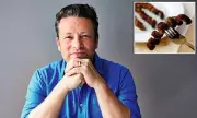 Jamie Oliver's Turkey Twizzler U-Turn: Chef's Shocking Confession on Ultra-Processed School Dinners
