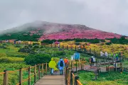 Jeju Island Cracks Down on Tourists: New Police Patrols Enforce Stricter Rules in South Korea's Paradise