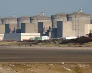 Jellyfish Invasion Forces French Nuclear Plant Shutdown – A Growing Environmental Concern