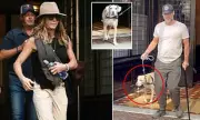 Jennifer Aniston, 56, Spotted Leaving NYC Hotel with Beau and Beloved Dog – See the Pics!