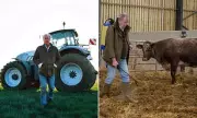 Jeremy Clarkson's Diddly Squat Farm Faces 'Catastrophic' Harvest – 'Bad News' for Food Lovers