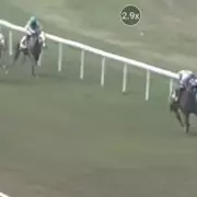 Jockey Johnson Faces Fort Erie Stewards' Wrath After Controversial Race Incident