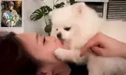 K-pop Idol Chaewon Sparks Outrage After Viral Video Shows Her Kissing Pet Dog | Daily Mail