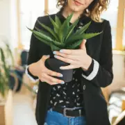 Killer Garden Warning: The 5 Most Dangerous Plants Hiding in Your UK Garden