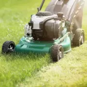 Kind Stranger’s Heartwarming Gesture Leaves Woman Stunned After She Shares Garden Struggle Online