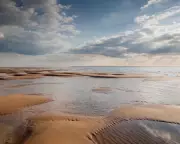 King Charles Urged to Halt Dredging at Historic Goodwin Sands