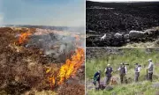 Labour's Rewilding Sparks Fury: Farmers Warn of 'Tinderbox Countryside' and Catastrophic Wildfire Risk