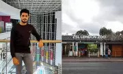 London Zoo Worker Faces Deportation After Stalking Female Colleague with Flowers and Chocolates
