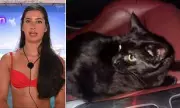 Love Island Star Yasmin Pettet Heartbroken as Beloved Cat Miaow Miaow Loses Cancer Battle