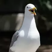 Lucky Brit Mum's Life Transformed After Stunning £1 Million EuroMillions Win