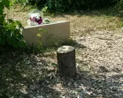 Macron Condemns Antisemitic Attack as Memorial Tree is Vandalised