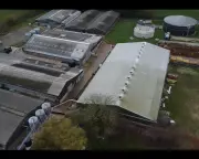 Major UK Supermarkets Halt Supplies from Lincolnshire Pig Farm Amid Shocking Animal Cruelty Footage