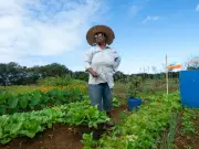 Mauritius Oil Spill Crisis Sparks Female Farming Revolution & Food Sovereignty