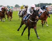 Melbourne Cup 2025: Racing's Crown Jewel Rocked by Absence of Ethical Diamond