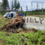 Miracle Survival: Man Lost in Wilderness for Nine Days Found Alive After Harrowing Ordeal