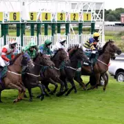 Monday's Horse Racing Tips: Best Bets for Today's Races