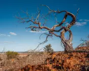 Morning Mail: Key Updates on Westminster, Economy, and Health – Monday Briefing